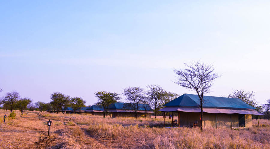 Osinon Camp buiten
