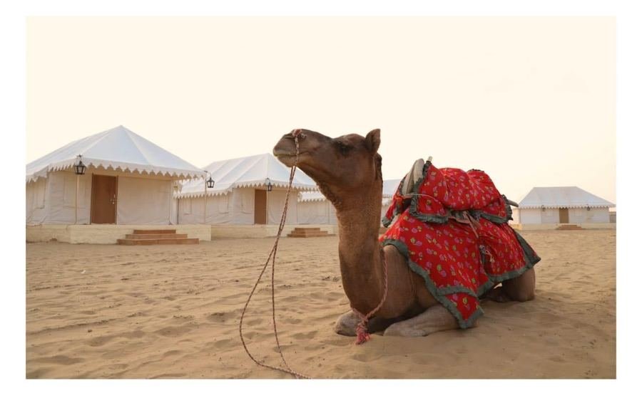 The Golden Sand Resort