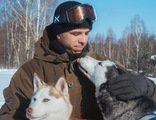Rusland, winter, husky