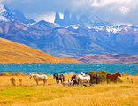 Torres del Paine