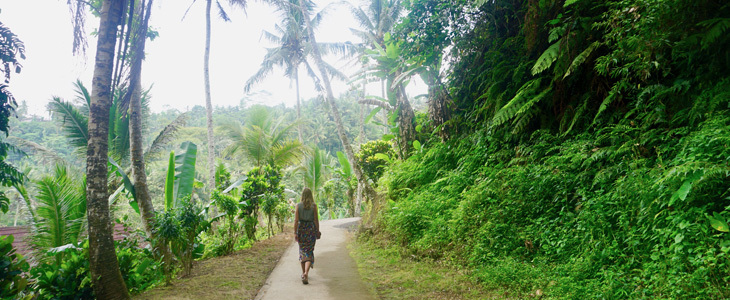 Reistips Ubud: de 10 leukste dingen om te doen!