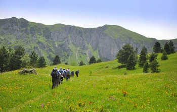 De mooiste wandelgebieden in Europa