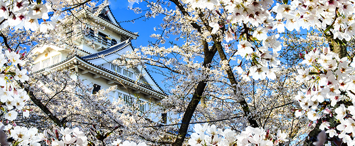 Tips voor lekker eten in Japan!