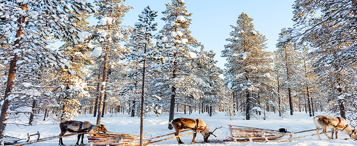 Sneeuwpret in Lapland