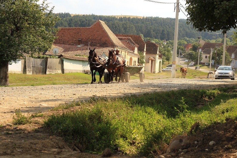 Rondreis Roemenië