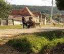 Rondreis Roemenië