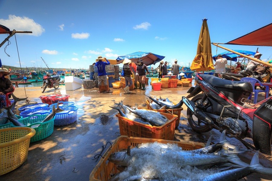 Phu Quoc visafslag