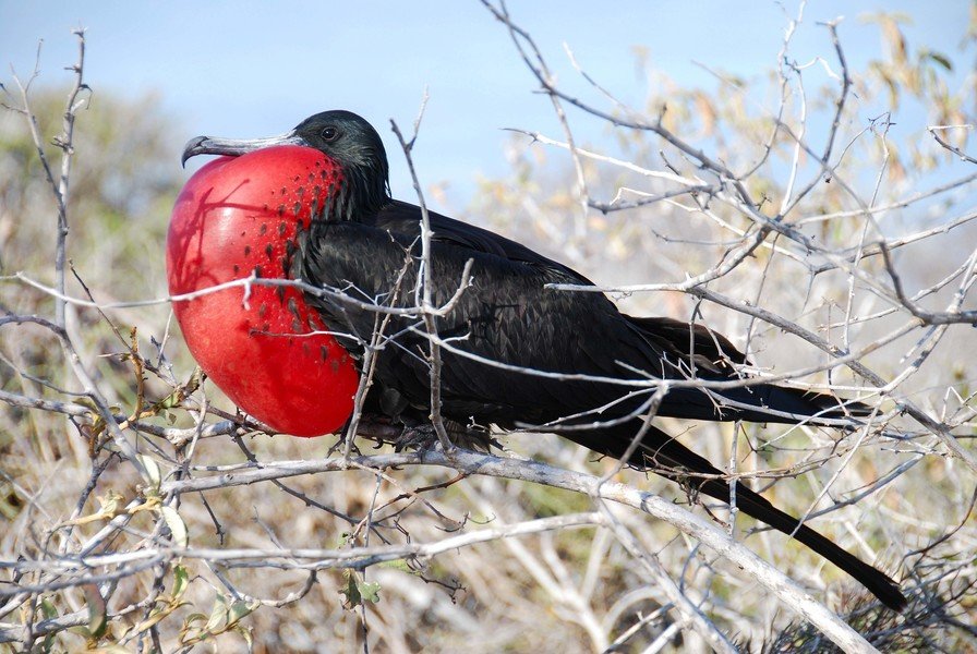Familiereis Ecuador