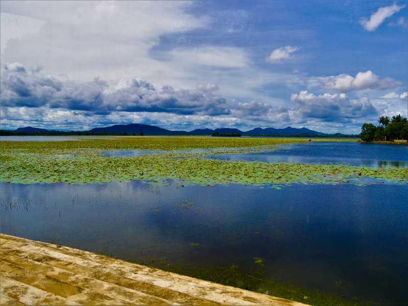 lake view