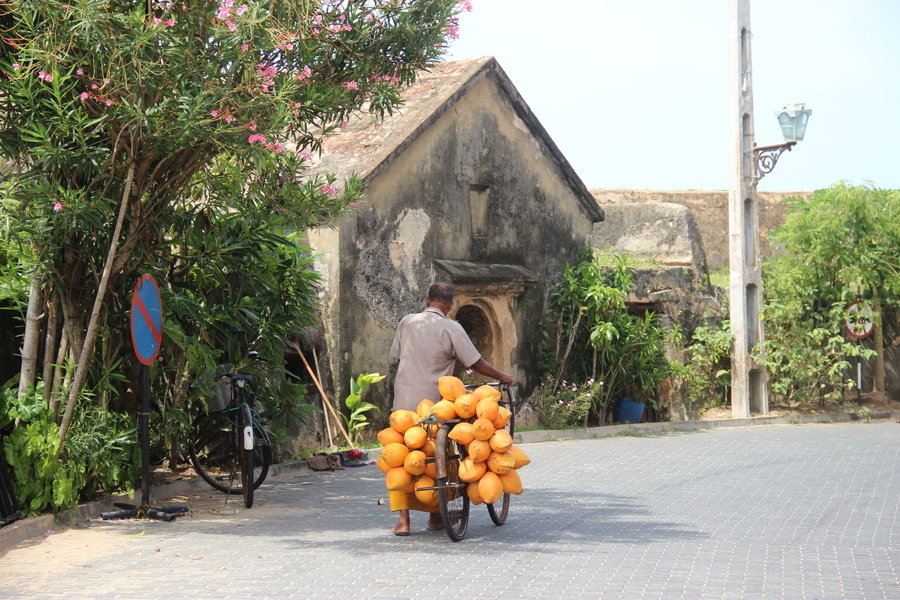 coconut