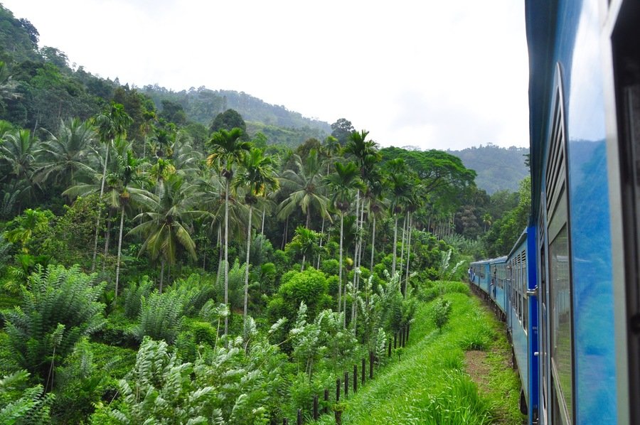 train