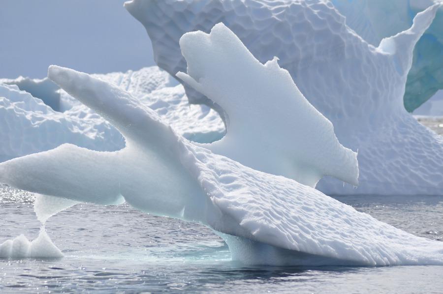 IJsrotsen Antarctica