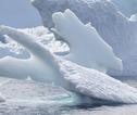 IJsrotsen Antarctica