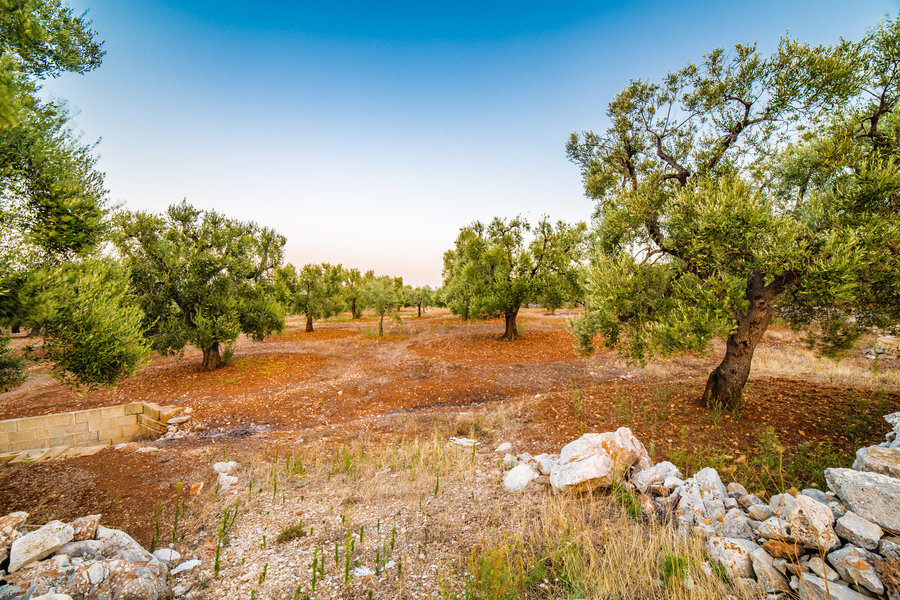 Wandelvakantie Italië - Puglia & Matera