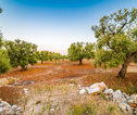 Wandelvakantie Italië - Puglia & Matera
