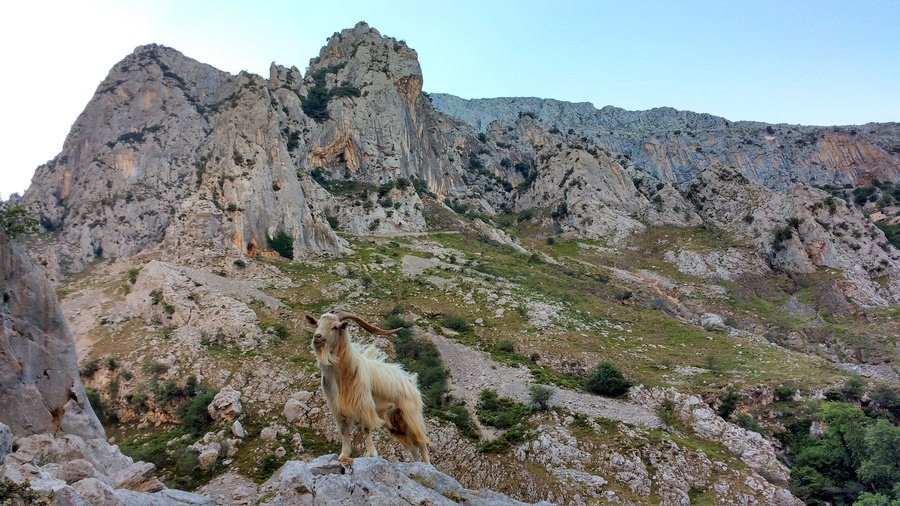 Wandelvakantie Spanje - Picos de Europa