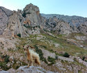 Wandelvakantie Spanje - Picos de Europa