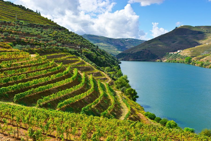 Wandelvakantie Portugal - de Douro Vallei