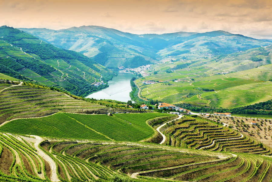 Wandelvakantie Portugal - de Douro Vallei
