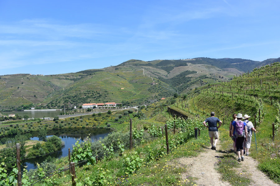 Wandelvakantie Portugal - de Douro Vallei