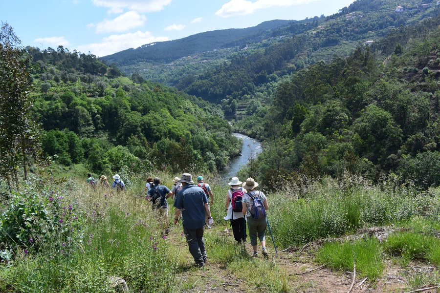 Wandelvakantie Portugal - de Douro Vallei