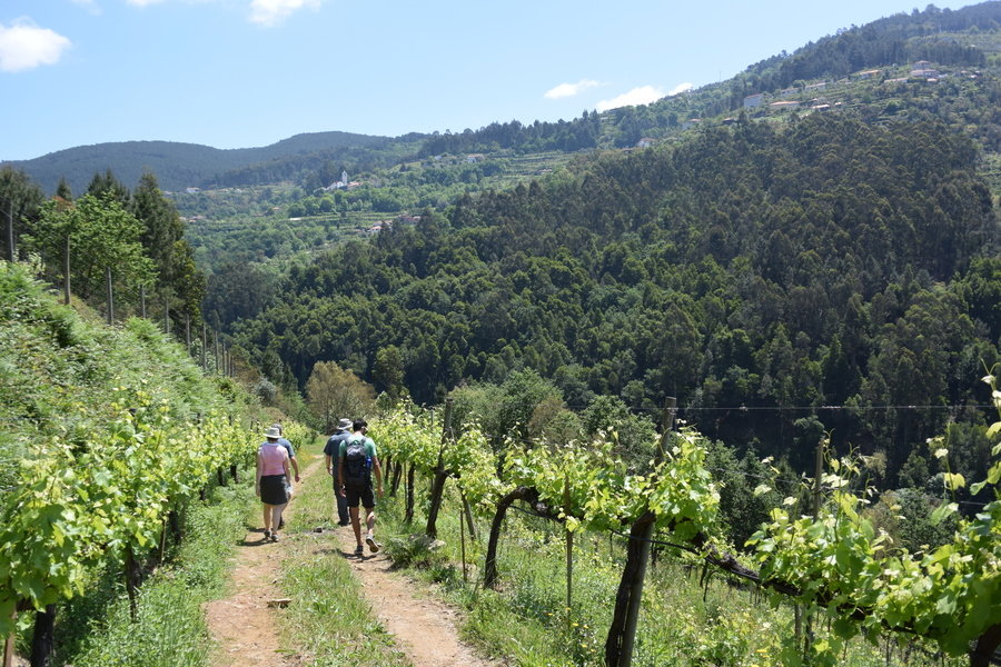 Wandelvakantie Portugal - de Douro Vallei