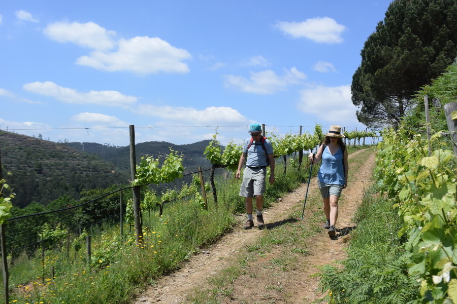Wandelvakantie Portugal - de Douro Vallei