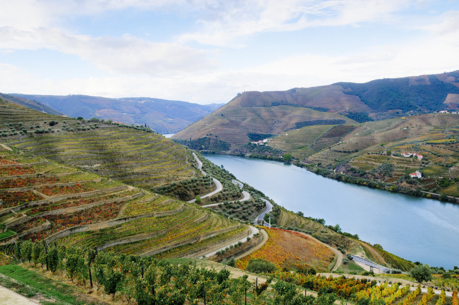Wandelvakantie Portugal - de Douro Vallei