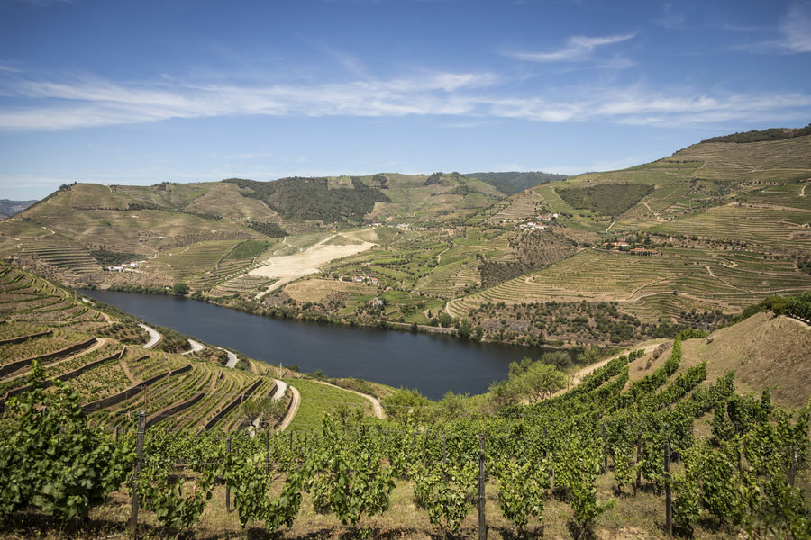 Wandelvakantie Portugal - de Douro Vallei