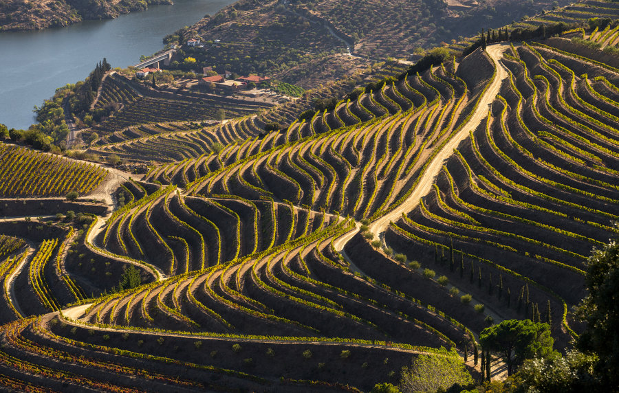 Wandelvakantie Portugal - de Douro Vallei