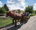 Internationale groepsreis Cycle Romania