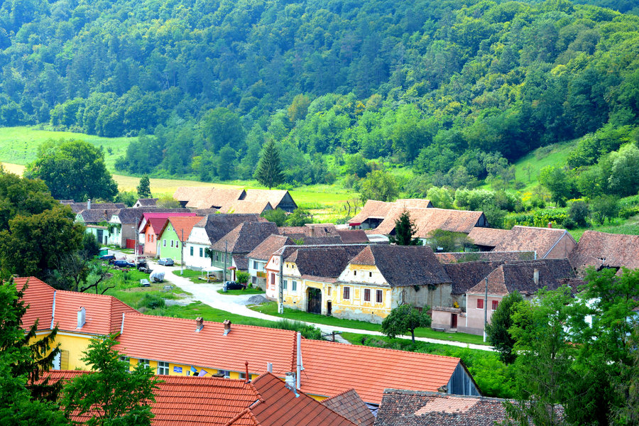 ECMVF-Roemenië-onderweg-shutterstock_1261451875