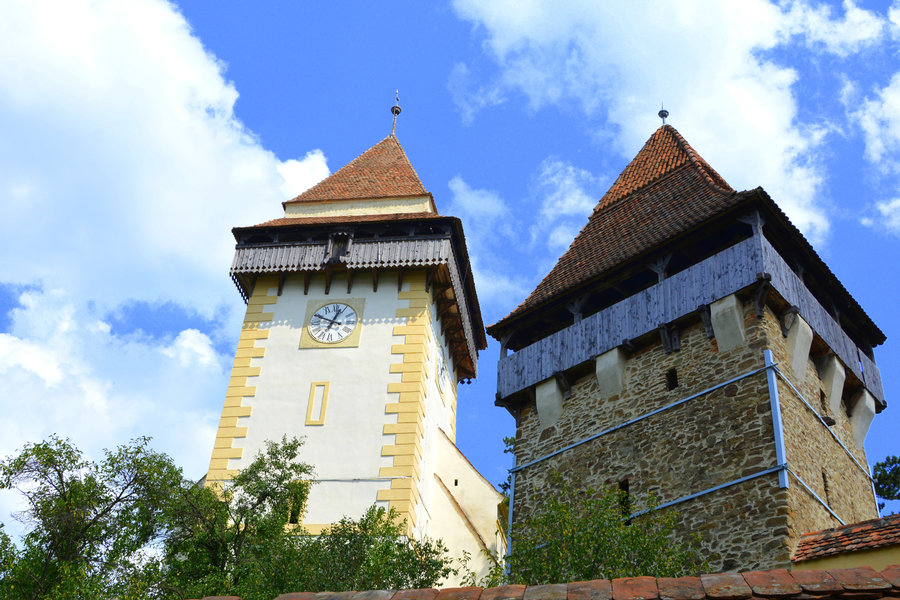 ECMVF-Roemenië-Apold-shutterstock_1267281097