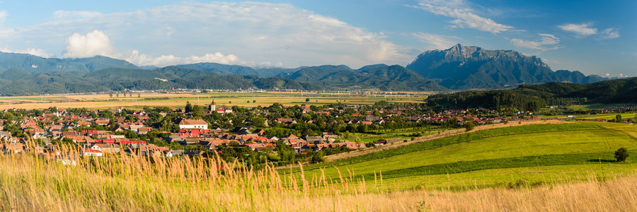 ECMVF-Roemenië-Vulcan-shutterstock_266264966