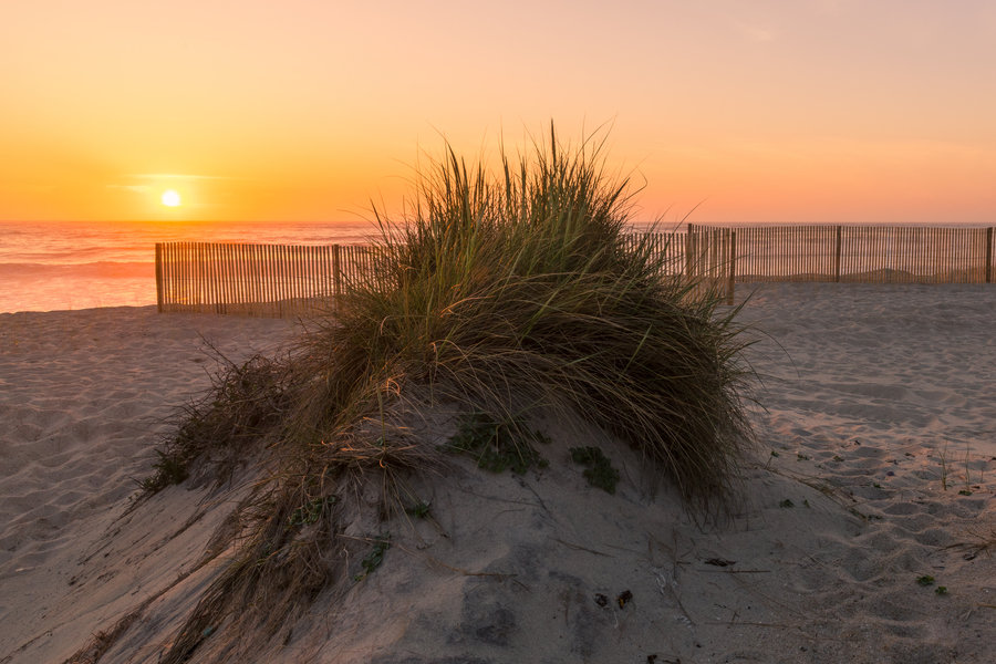 ECMEO-Portugal-Furadouro,-shutterstock_1089597362
