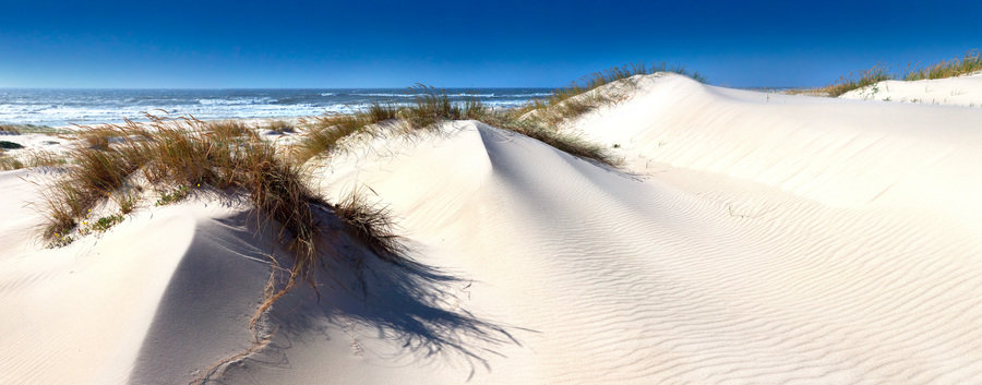 ECMEO-Portugal-São Jacinto dunes-shutterstock_401795506