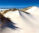 ECMEO-Portugal-São Jacinto dunes-shutterstock_401795506