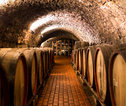 ECMEO-Portugal-Winecellar-shutterstock_456475009