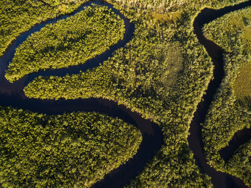 Amazone van boven