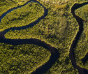 Amazone van boven