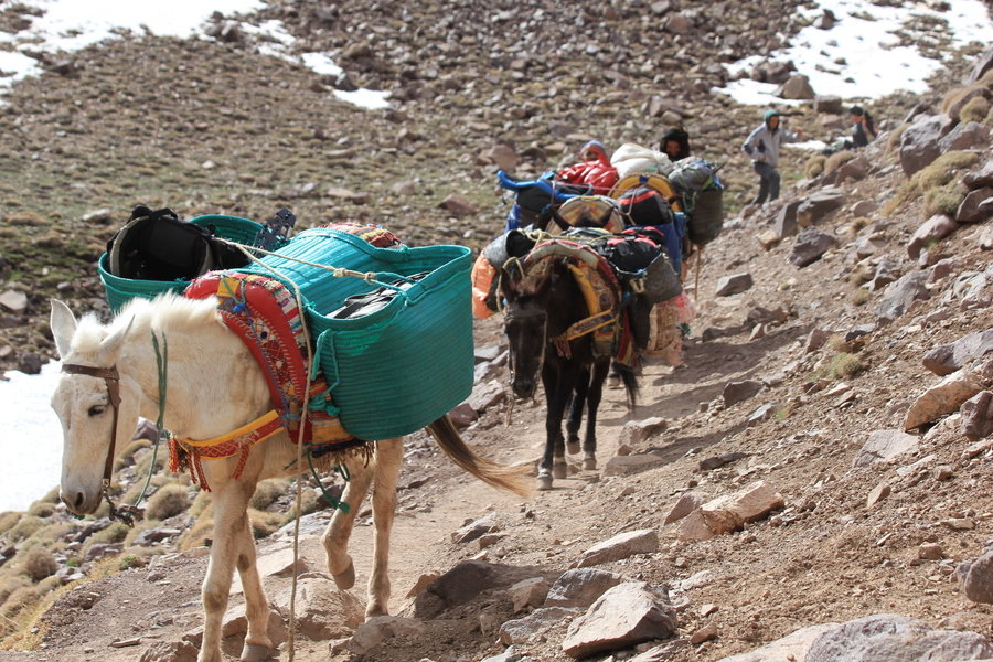 Wandelreis Marokko - Mount Toubkal