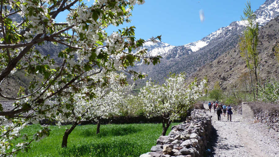 Wandelreis Marokko - Mount Toubkal
