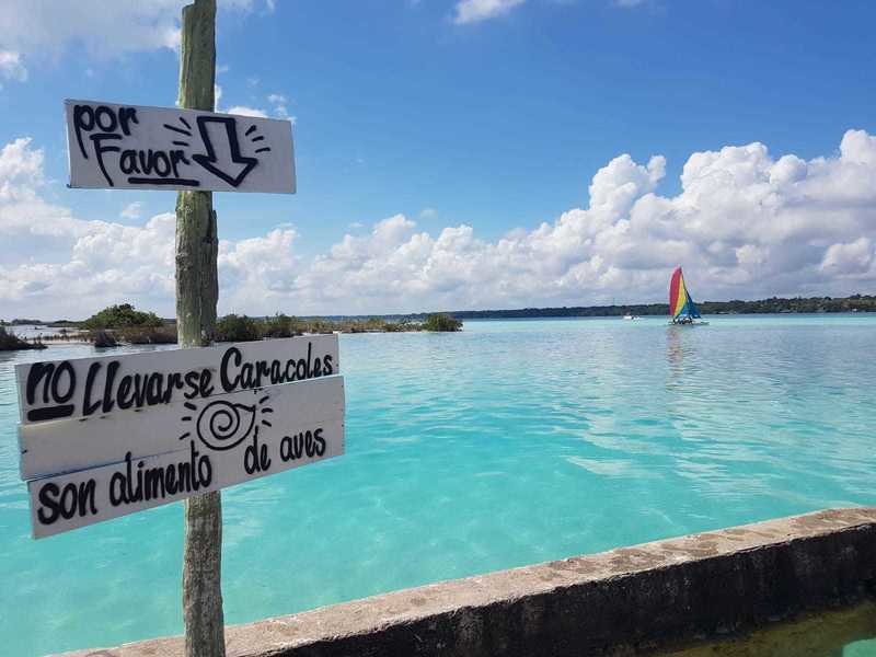 Bacalar