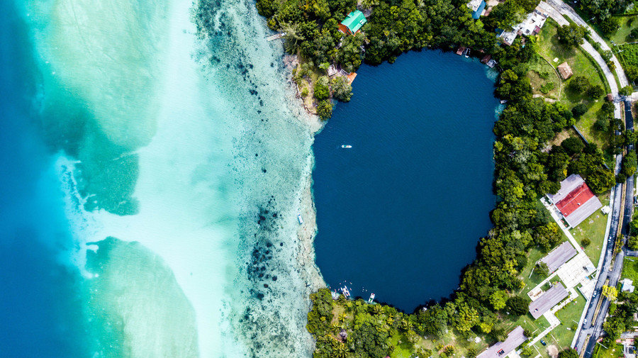 Bacalar