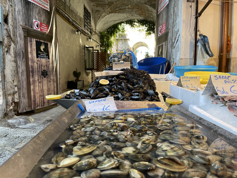 Zuid-Italië: de Amalfikust, Cilento en Sicilië