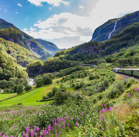 Flamsbana spoor Noorwegen
