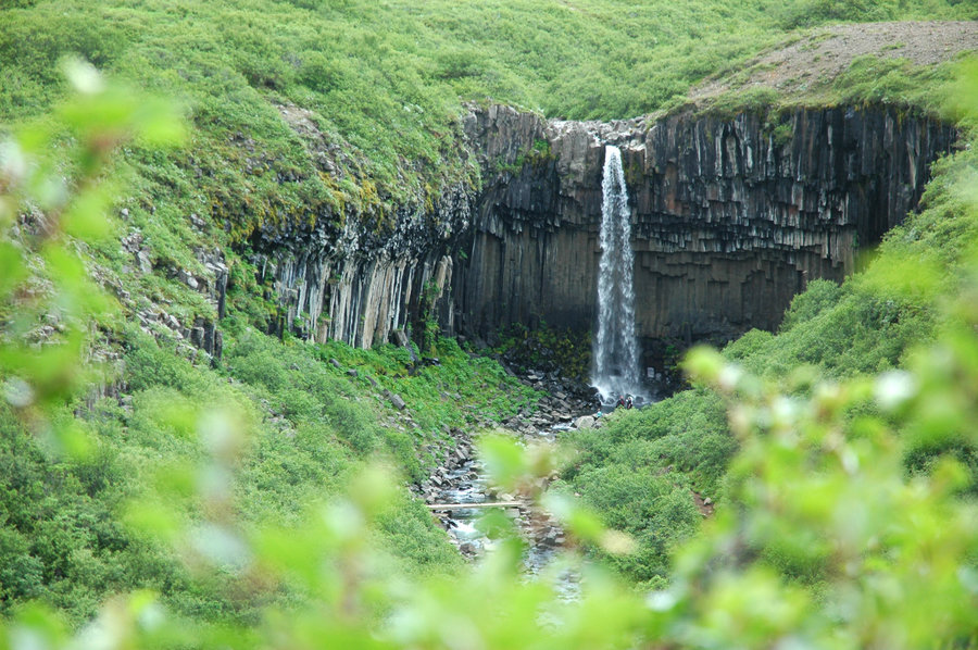 Svartifoss waterval Ijsland