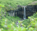 Svartifoss waterval Ijsland