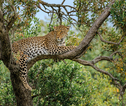 Rondreis Kenia en Tanzania