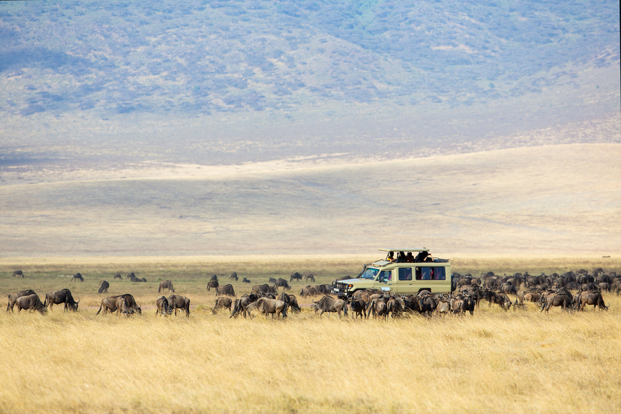Rondreis Kenia en Tanzania